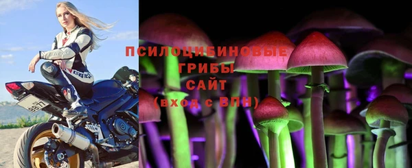 крисы Алексин