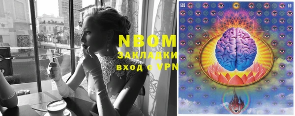 крисы Алексин