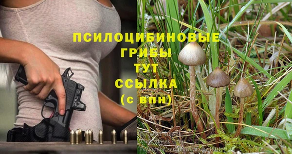 герыч Алзамай