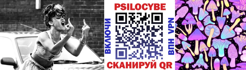 Псилоцибиновые грибы Cubensis Набережные Челны